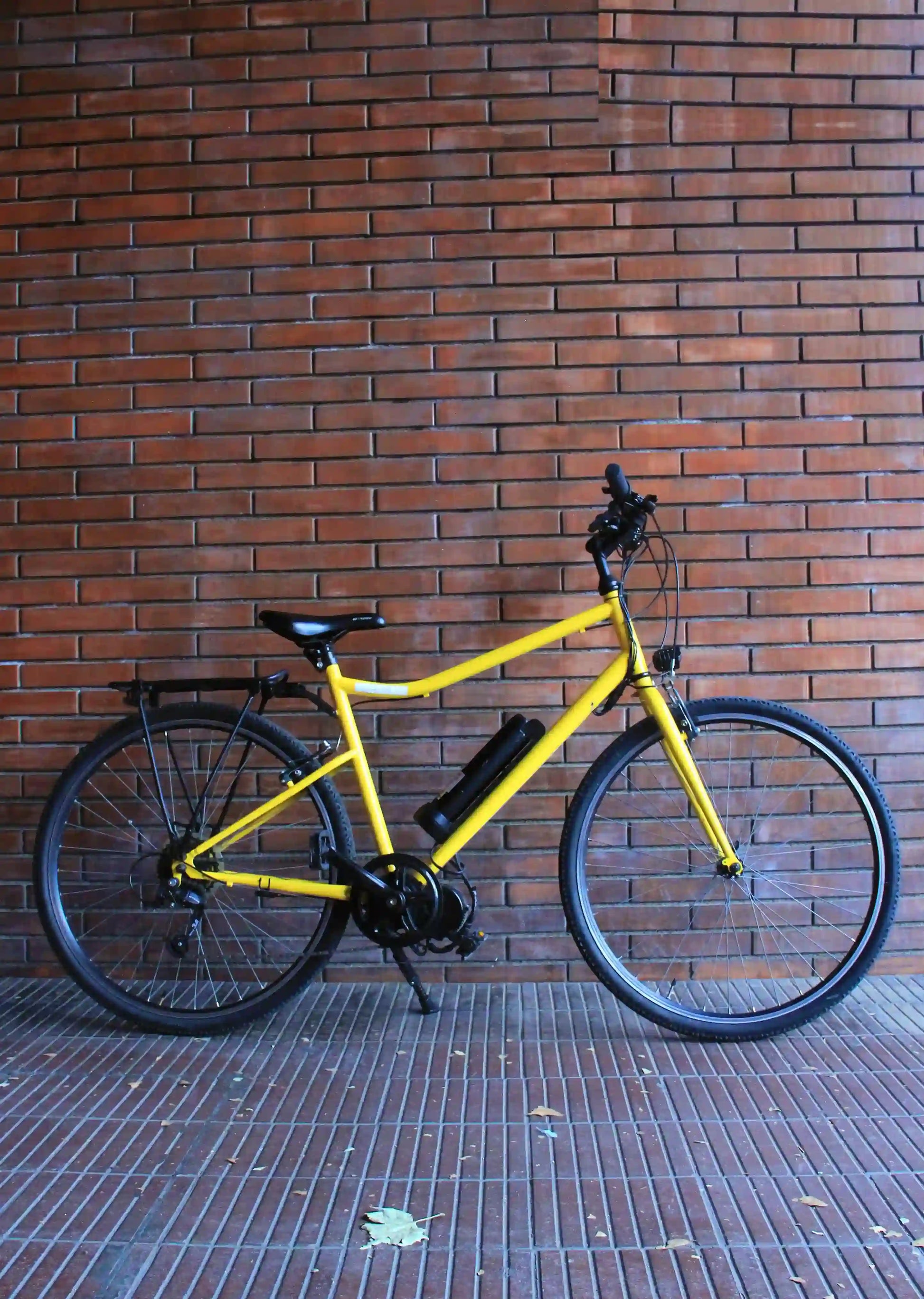  Bicicleta eléctrica modelo Spring slim